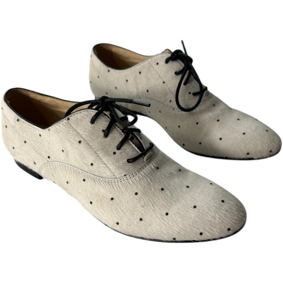 Tod's Shoes - TOD'S Francesina Polka-Dot Calf Hair Brogues Loafer Shoes Size 36.5